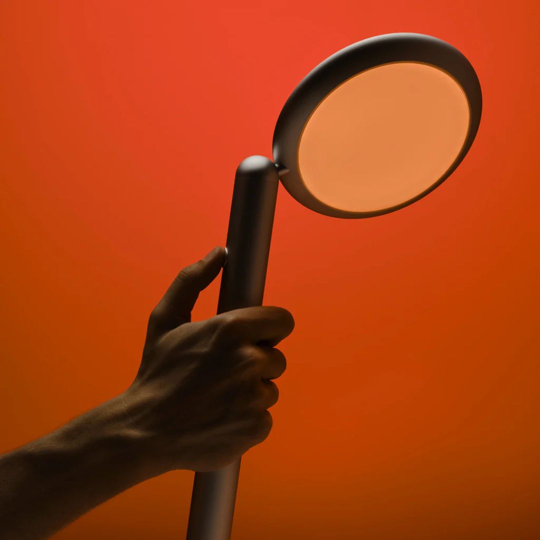 photo2.jpgParrot floor